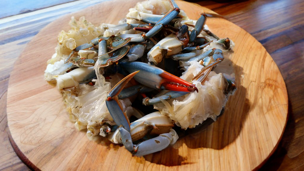 Blue Crab