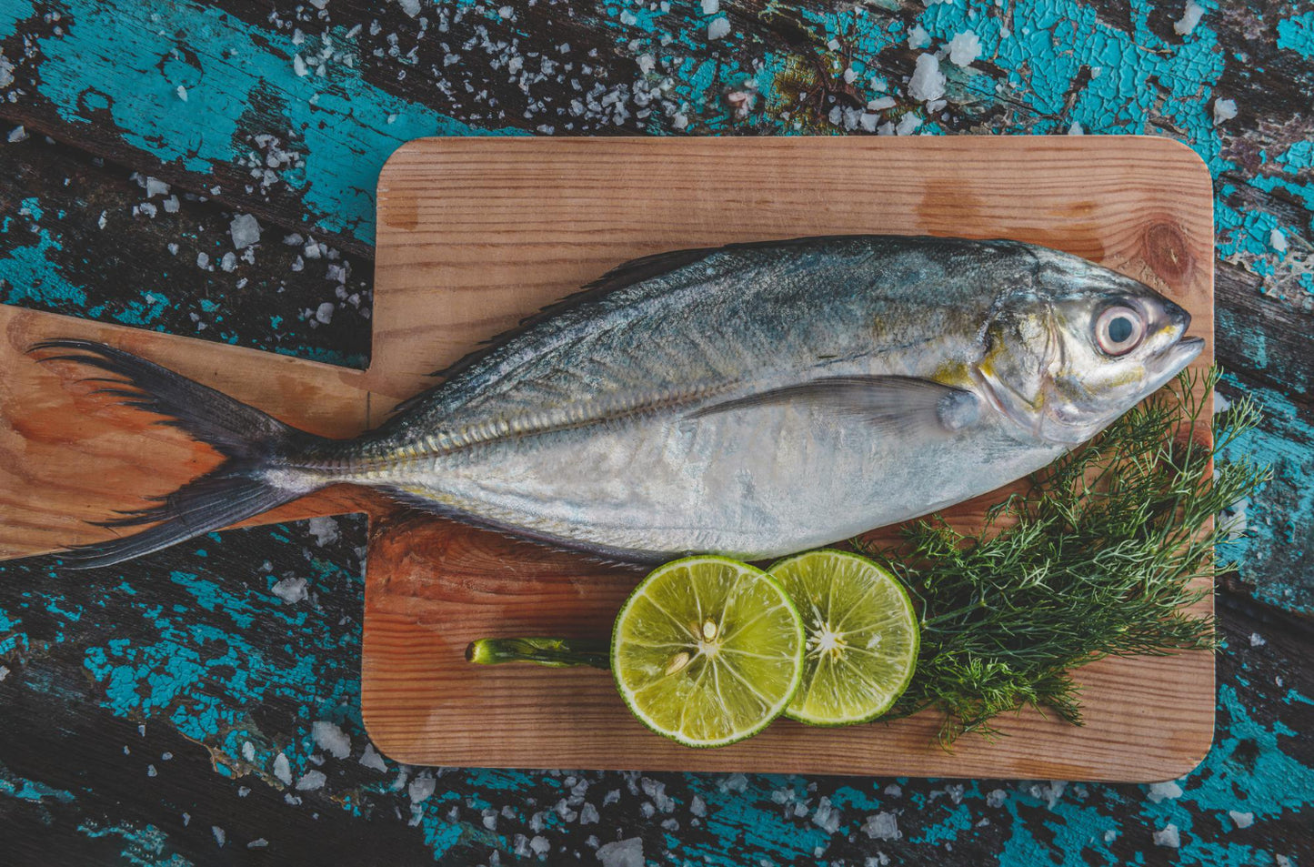 Trevally Fish (Vatta)1.900-2.100kg