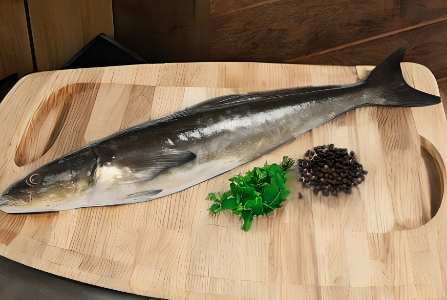 Cobia(Modha)