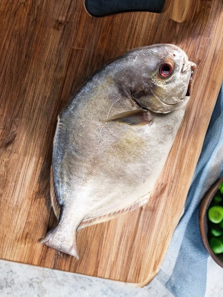 Golden Pomfret (1.900-2.100Kg)