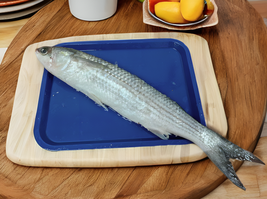 Gray Mullet/Thirutha/Bhangor