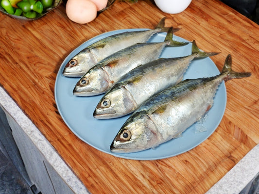 Indian Mackerel(450g-550g)