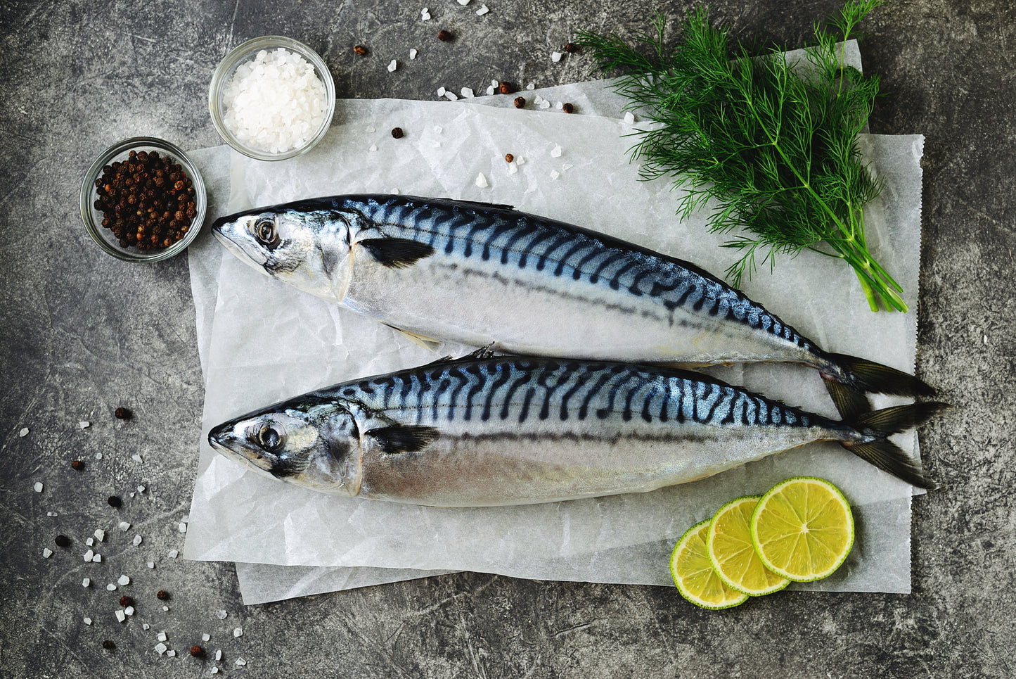 Mackerel