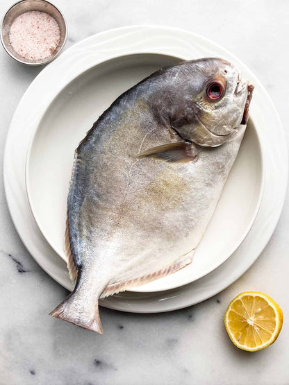 Golden Pomfret